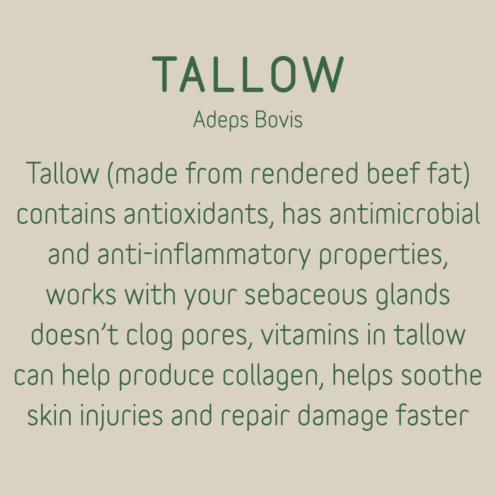 VANILLA TALLOW BALM