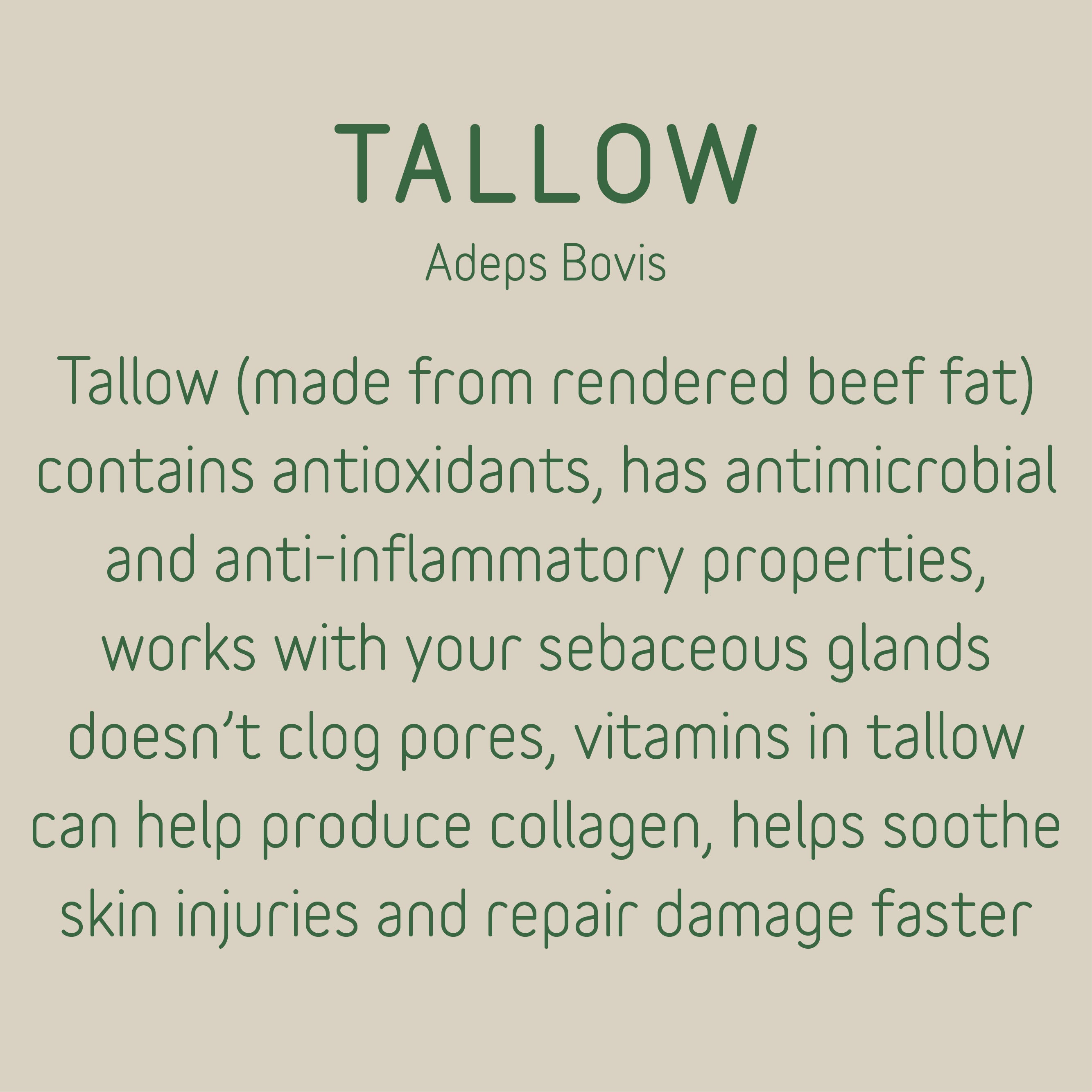 VANILLA TALLOW BALM